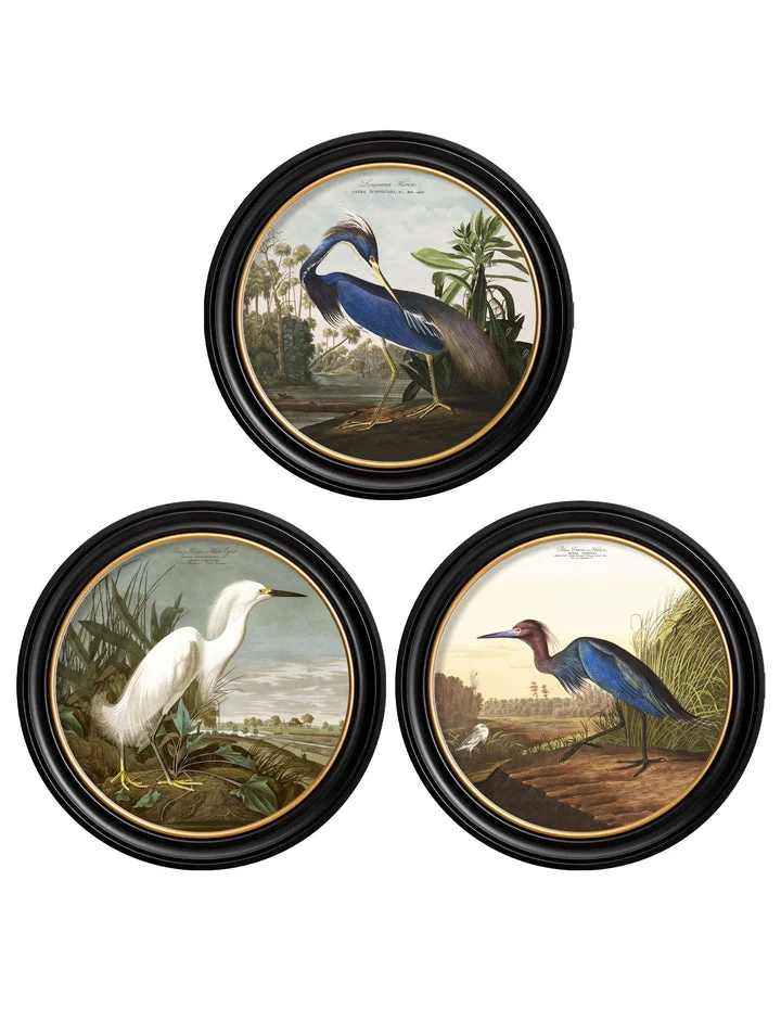 Audubon's Birds of America - Blue Heron - 70cmx70cm & 44cmx44cm 2